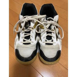 ミズノ(MIZUNO)のMIZUNO バレーシューズ　24.0cm(バレーボール)