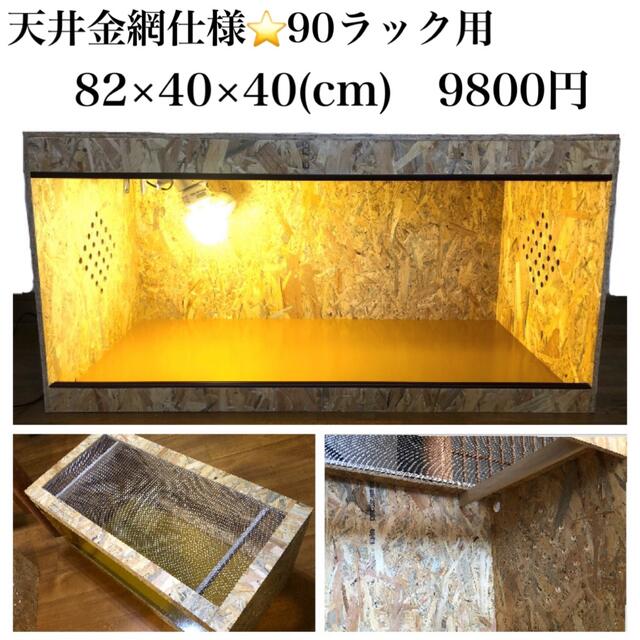 爬虫類ケージ 90ラック用サイズ⭐️ | gellonautos.cl