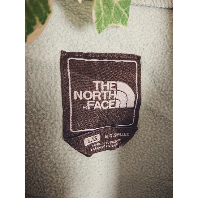 THE NORTH FACE(ザノースフェイス)の状態良 THE NORTH FACEデナリジャケット Girl L ポーラテック レディースのジャケット/アウター(ブルゾン)の商品写真