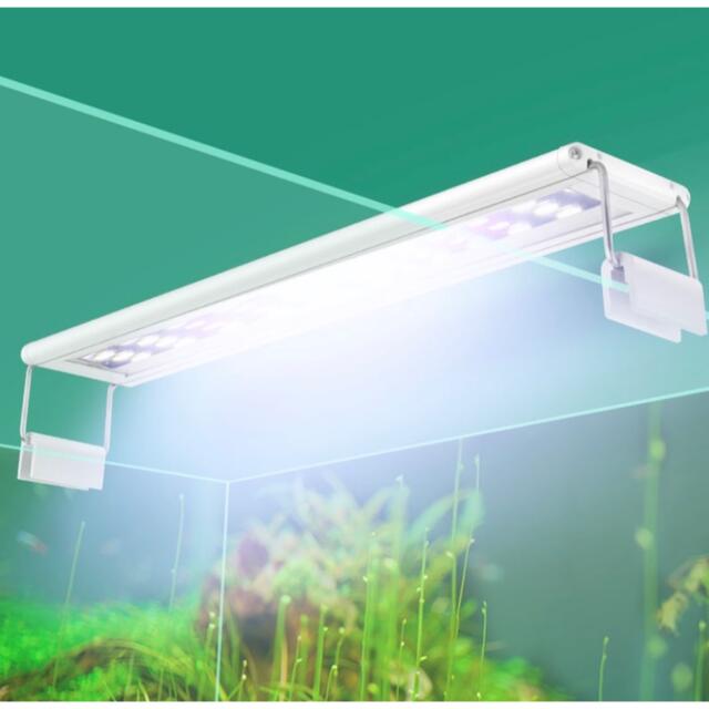 水槽ledライト 60センチ水槽ライト 長寿命 白色led 熱帯魚 水草育成14の通販 By ぴっころハウス安心保証 S Shop ラクマ 水槽ledライト 60センチ水槽ライト 長寿命 白色led 熱帯魚 水草育成14の通販 By ぴっころハウス安心保証 S Shop ラクマ