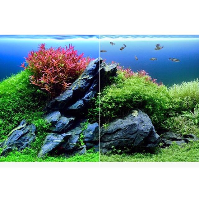 水槽ledライト 60センチ水槽ライト 長寿命 白色led 熱帯魚 水草育成14の通販 By ぴっころハウス安心保証 S Shop ラクマ 水槽ledライト 60センチ水槽ライト 長寿命 白色led 熱帯魚 水草育成14の通販 By ぴっころハウス安心保証 S Shop ラクマ
