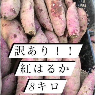 鹿児島県産　熟成紅はるか8キロ(野菜)