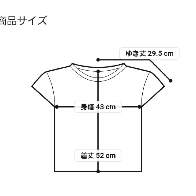 INDIVI(インディヴィ)のDessin 美光沢 カットソー レディースのトップス(カットソー(半袖/袖なし))の商品写真