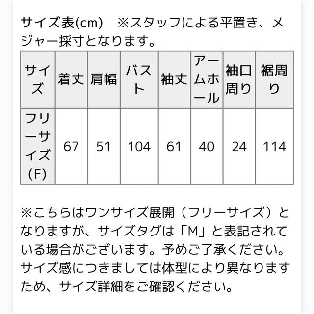 【美品】HUG.U微起毛レイヤードシャツ　ストライプ レディースのトップス(カットソー(長袖/七分))の商品写真