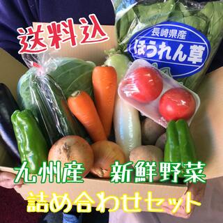 【2/7発送】九州産　新鮮野菜　詰め合わせセット(野菜)