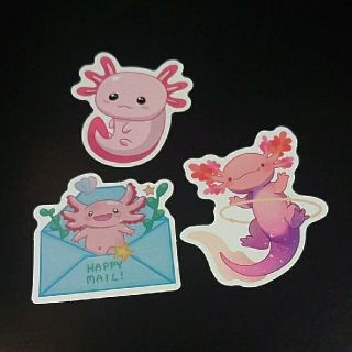 ウーパールーパー AXOLOTL ステッカー シール 3枚セット ⑧(キャラクターグッズ)