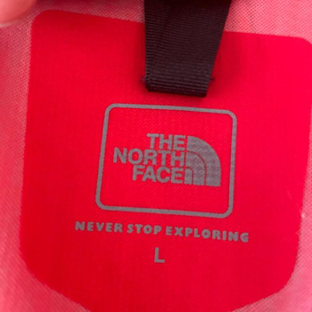 THE NORTH FACE(ザノースフェイス)の【Dior様専用】THE NORTH FACE パーカー メンズのトップス(パーカー)の商品写真