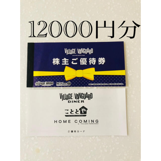 ヴィレッジヴァンガード 株主優待券 12000円分 チケットの優待券/割引券(ショッピング)の商品写真