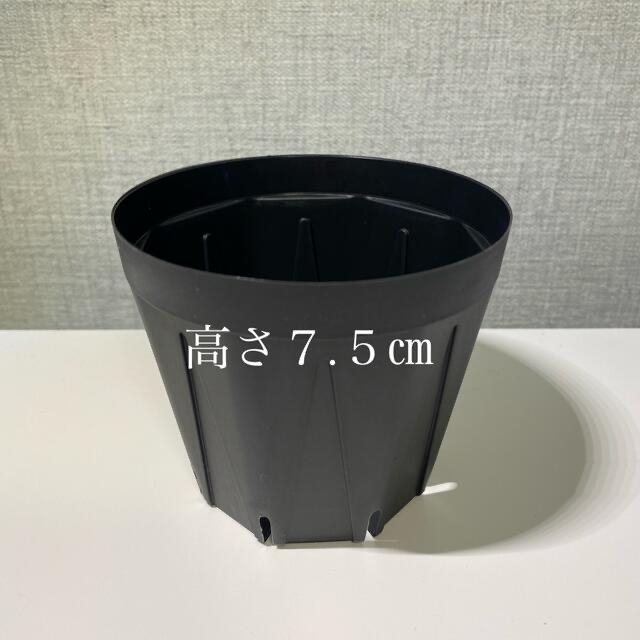 スリット鉢3号　直径9センチ　5個 ハンドメイドのフラワー/ガーデン(プランター)の商品写真