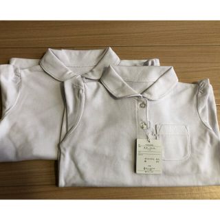 ベルメゾン(ベルメゾン)の未使用　GITA ベルメゾン　ポロシャツ　２枚セット(Tシャツ/カットソー)