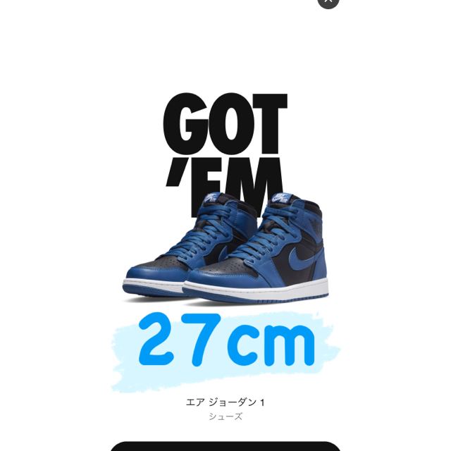 NIKE AJ1 dark marina 29cm blue 新品未使用