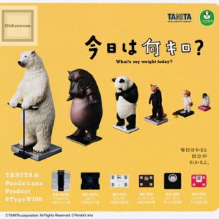 タニタ　パンダの穴　ガチャガチャ　今日は何キロ? 全6種　コンプリート(その他)