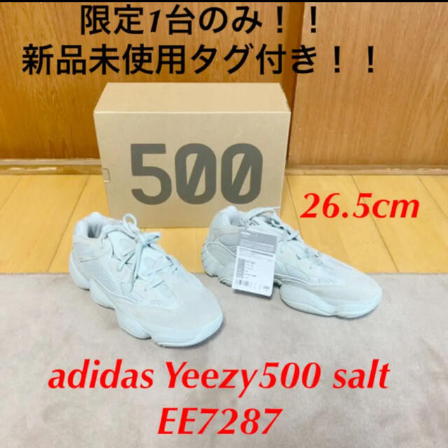 【新品　希少】adidas yeezy500 salt EE7287 タグ付き