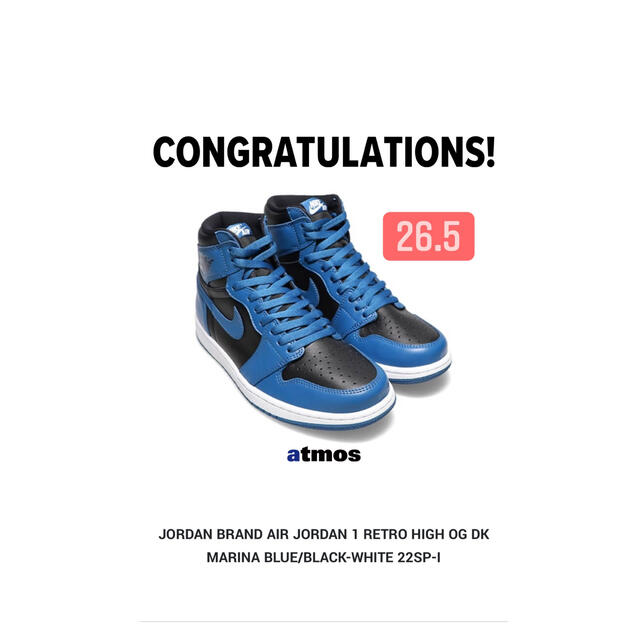 Nike Air Jordan 1 Dark Marina Blue 26.5
