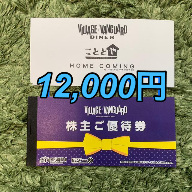 ヴィレッジヴァンガード 株主優待券12枚(12000円分) チケットの優待券/割引券(ショッピング)の商品写真