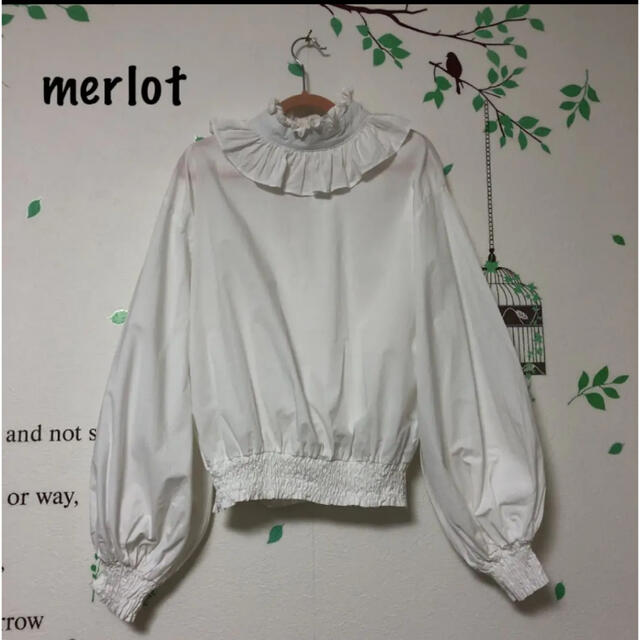 merlot(メルロー)の🌼最終価格🌼□938 メルロー 襟袖フリルで可愛い レディースのトップス(シャツ/ブラウス(長袖/七分))の商品写真
