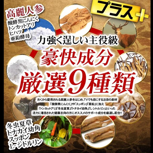 定価12,960円‼️13種マカ➕高麗人参、すっぽん、黒にんにく等も強化配合❣️ 食品/飲料/酒の健康食品(その他)の商品写真