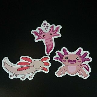 ウーパールーパー AXOLOTL ステッカー シール 3枚セット ⑨(キャラクターグッズ)