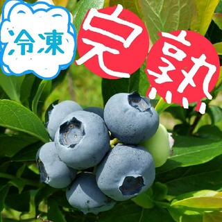 完熟冷凍ブルーベリー【小粒〜大粒】1kg(フルーツ)