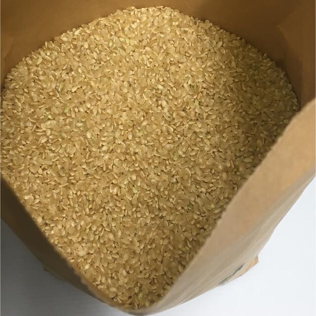 mika様専用 無農薬コシヒカリ無洗米10kg(5kg×2)令和3年 徳島県産