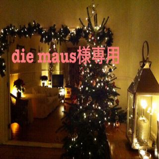 die maus様専用(ネックレス)
