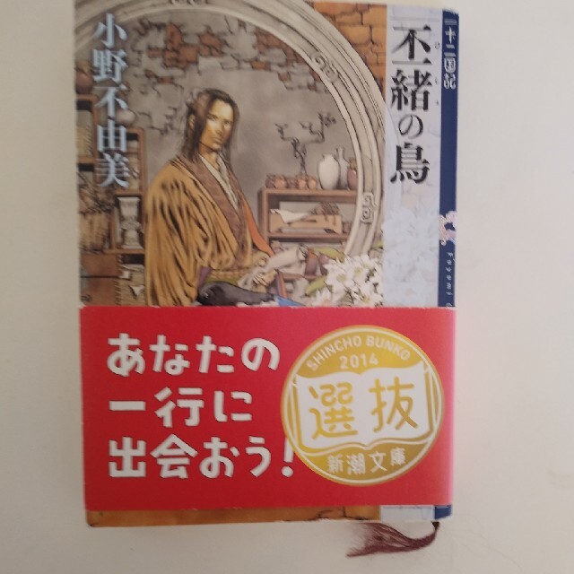 丕緒の鳥 十二国記 エンタメ/ホビーの本(その他)の商品写真