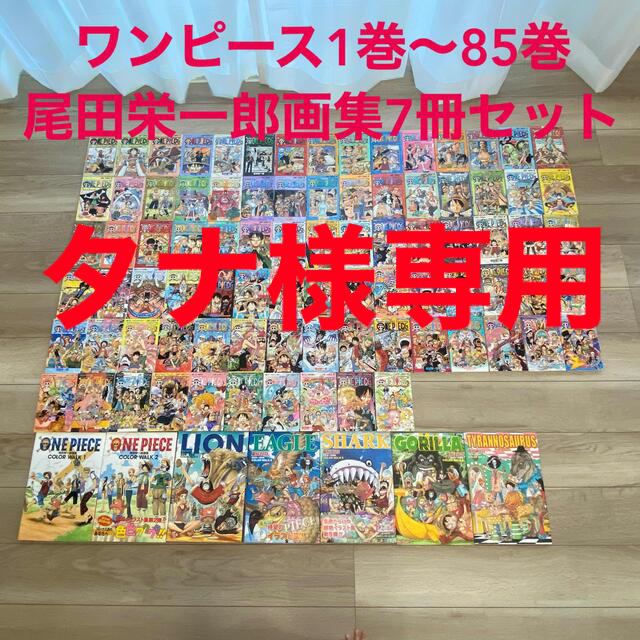 春の最新作 送料無料 タナ様専用 ワンピース1 85巻 尾田栄一郎画集 Color Walk 1 7 在庫処分セール Www Medsorimpex In