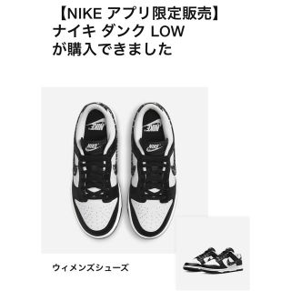 ナイキ(NIKE)のDunk Low Paisley Pack "Black/White" 22cm(スニーカー)