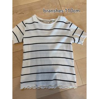 ブランシェス(Branshes)のブランシェス　ボーダーテレコ半袖Tシャツ(Tシャツ/カットソー)