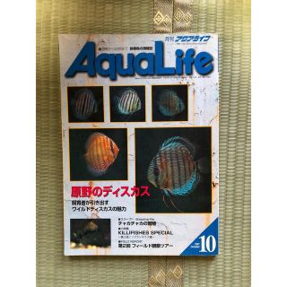 アクアライフ　1997年10月号(アクアリウム)