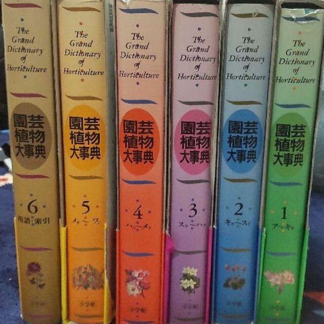 にして 園芸植物大事典 全6冊セット 小学館 古本 y81zt-m17699181842
