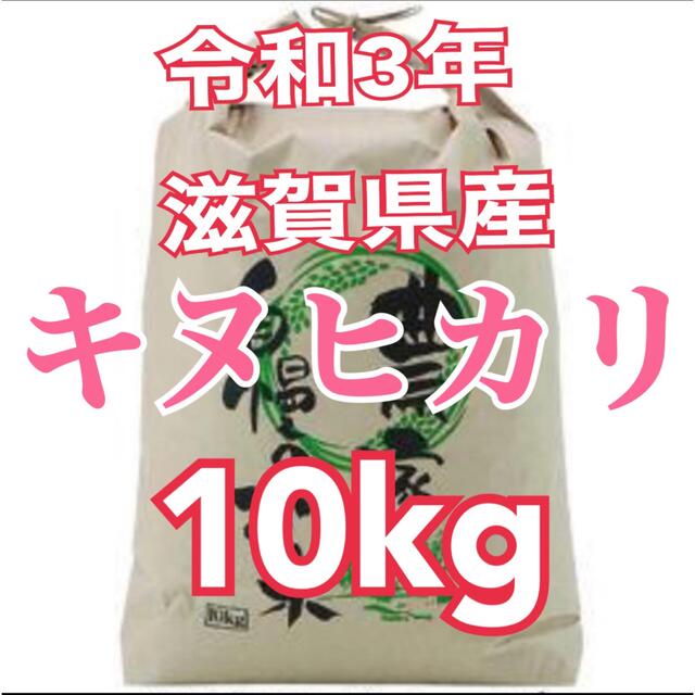 キヌヒカリ　白米　10kg　米/穀物　令和3年　滋賀県産