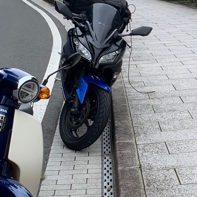 カワサキ(カワサキ)のNinja250 ニンジャ250 自動車/バイクのバイク(車体)の商品写真