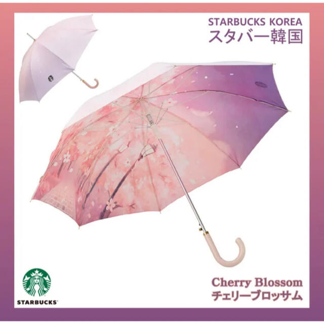 韓国 スタバ さくら scene umbrella 傘 長傘　桜