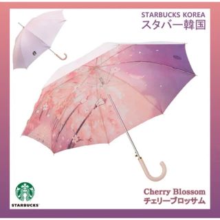 韓国 スタバ さくら scene umbrella 傘 長傘　桜(傘)