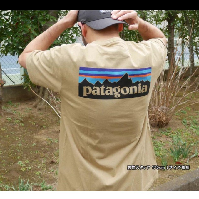 patagonia パタゴニア Tシャツ S P-6 クラシック タン