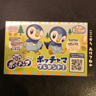 ポケモン(ポケモン)のプロジェクトポッチャマ  ポッチャマルシェ ポッチャマ シリアル コード(ゲーム)