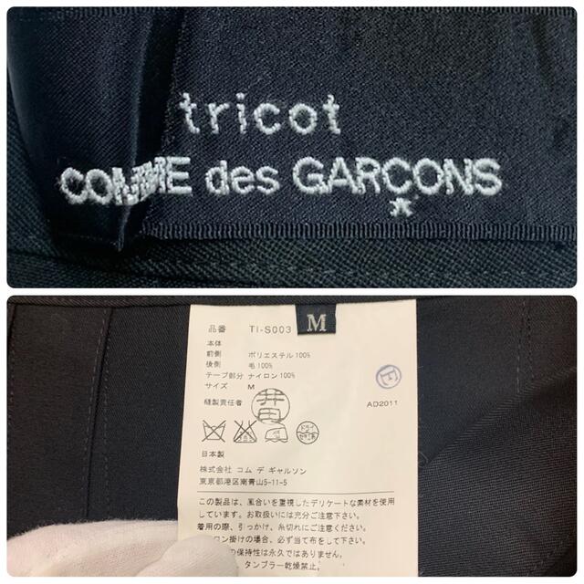 COMME des GARCONS(コムデギャルソン)のレア トリコ コムデギャルソン スカート ストライプ プリーツ 黒 デザイン M レディースのスカート(ひざ丈スカート)の商品写真