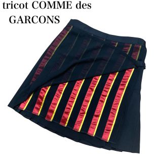 コムデギャルソン(COMME des GARCONS)のレア トリコ コムデギャルソン スカート ストライプ プリーツ 黒 デザイン M(ひざ丈スカート)