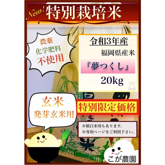特別栽培米　米/穀物　福岡県産米『夢つくし』　20kg　【玄米専用】令和3年産　新米