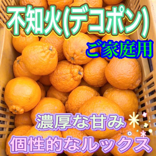 デコポン 不知火 低農薬 ご家庭用  約5kg 食品/飲料/酒の食品(フルーツ)の商品写真