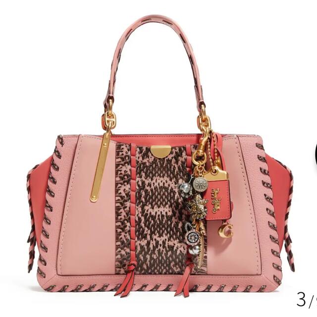 COACH ドリーマー バッグ 新宿伊勢丹限定のレア品 ピンク COACH ドリーマー バッグ 新宿伊勢丹限定のレア品 ピンク