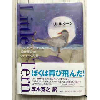 シュウエイシャ(集英社)のリトル ターン　Little Tern(絵本/児童書)