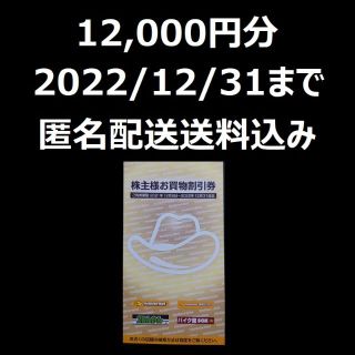 イエローハット　株主優待　株主様お買物割引券　12000分(その他)