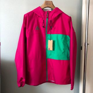 ナイキ(NIKE)の【極美品】NIKE ACG☆マウンテンパーカー☆人気モデルナイロンジャケット(マウンテンパーカー)