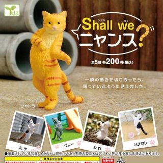 Shall we  ニャンス？  全５種セット  新品未使用(キャラクターグッズ)