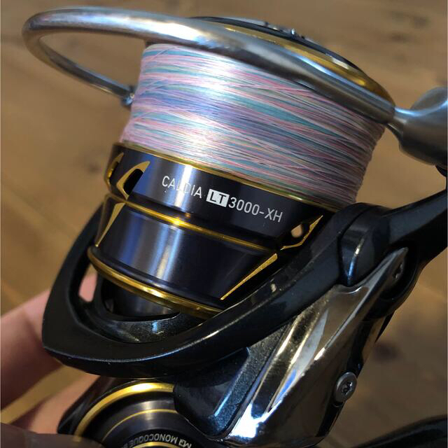 ダイワ 21カルディア カルディア Lt3000 Xh シーバス ソルト Shin Touchaku リール Firstclassaruba Com ダイワ 21カルディア カルディア Lt3000 Xh シーバス ソルト Shin Touchaku リール Firstclassaruba Com
