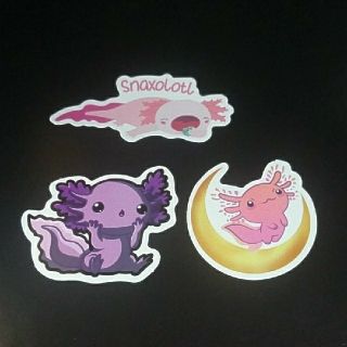 ウーパールーパー AXOLOTL ステッカー シール 3枚セット ⑪(キャラクターグッズ)