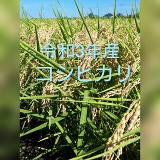 SKY様専用です😊コシヒカリ24kg精米(米/穀物)