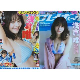 プレイボーイ(PLAYBOY)の浅倉ゆい　プレイボーイ、ヤングジャンプ(その他)